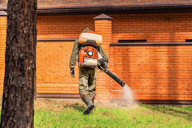 Trusted Fumigation Services service in St. Pete Beach, FL - Nex Pest Control